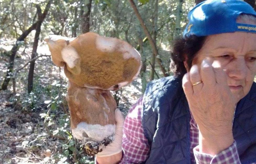 Nonna Lia trova un porcino da record