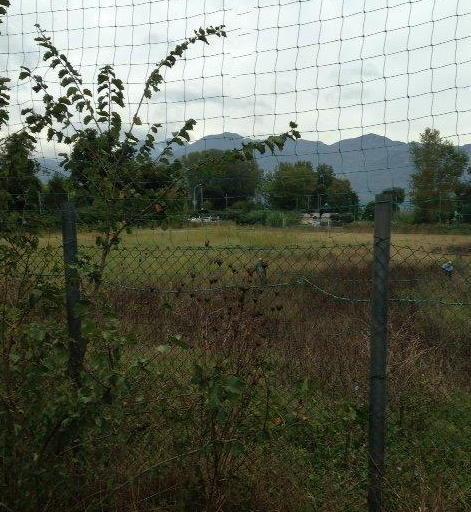Campo di via Del Sale nel degrado 