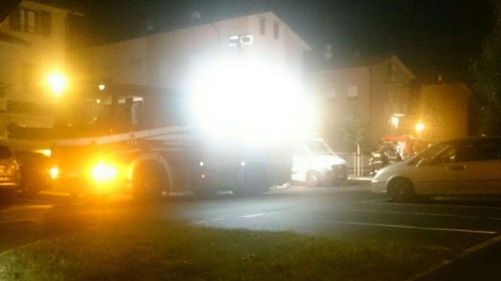 Doriano Cestelli, ricerche fino a notte