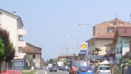Cane avvelenato, si indaga