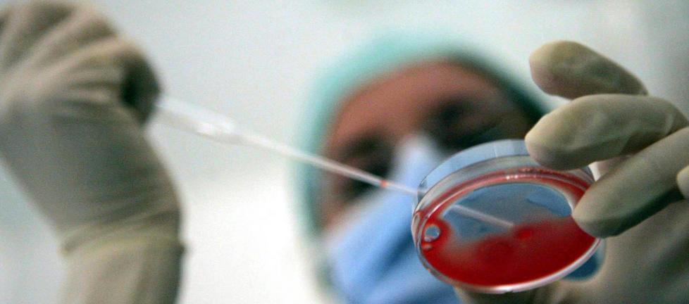 Procreazione assisista, in Toscana tanti centri ma solo per coppie 