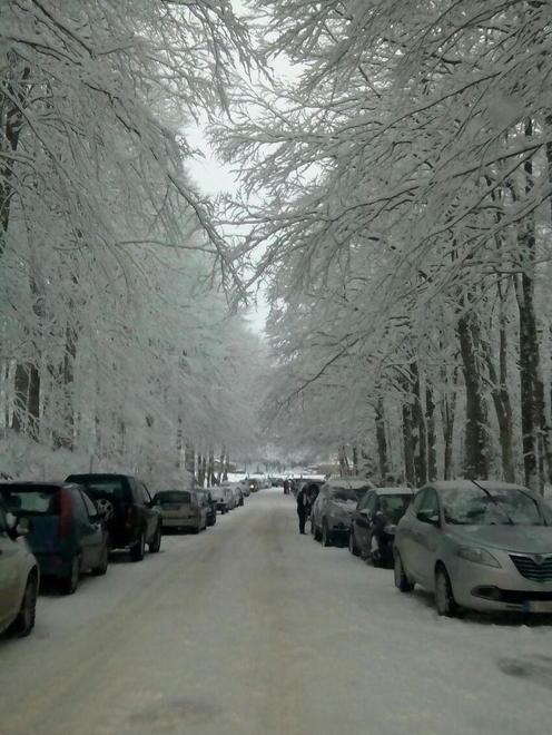 Turismo bianco in agonia Papi: «Serve un rilancio»