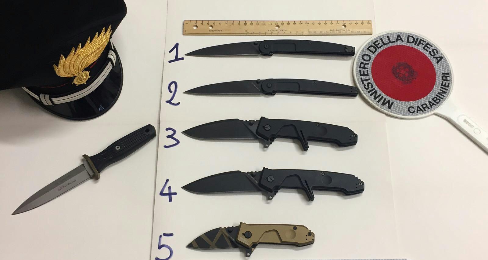 Le armi sequestrate dai carabinieri