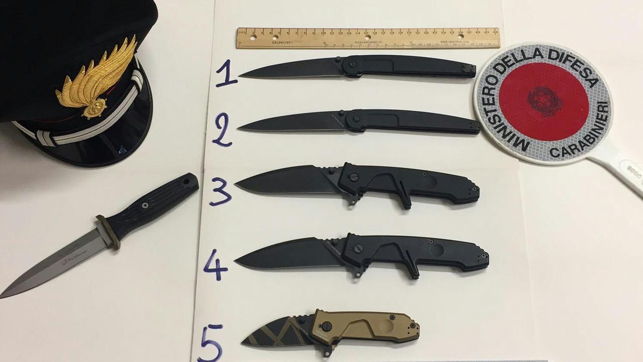 Le armi sequestrate dai carabinieri