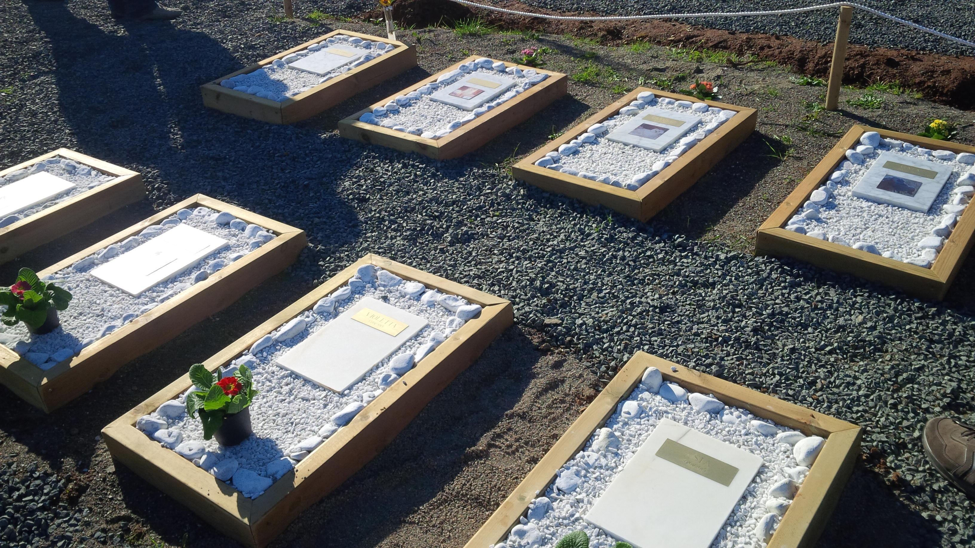 Cimiteri per gli animali da compagnia: la giunta regionale approva il regolamento