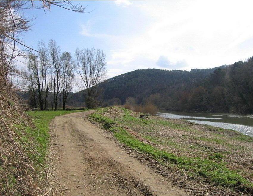 Parco agricolo sull’Arno grazie agli studenti 