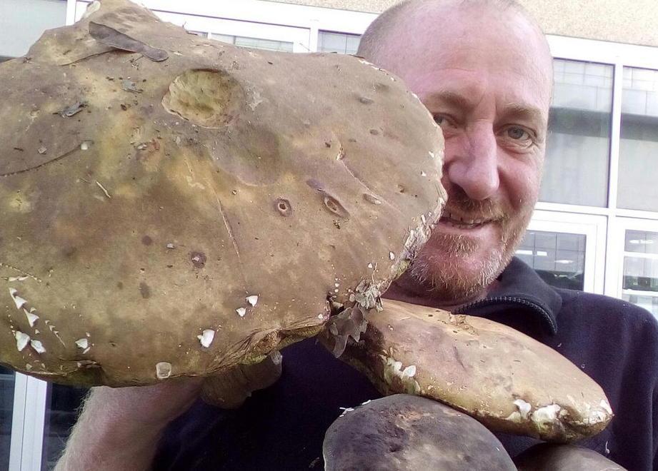 Porcino da 2,3 chilogrammi a La Rotta