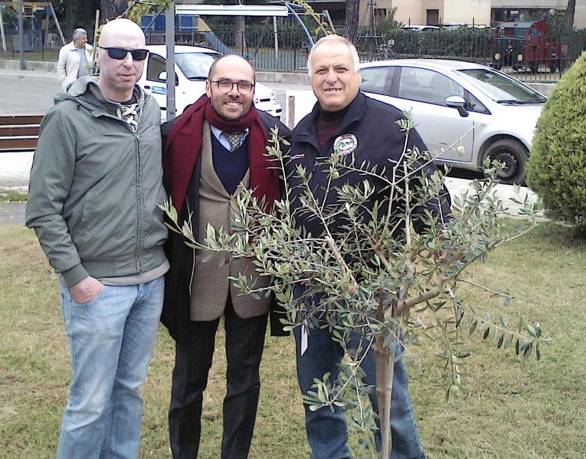 Stelo pianta un ulivo al posto di quello rubato