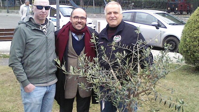 Stelo pianta un ulivo al posto di quello rubato