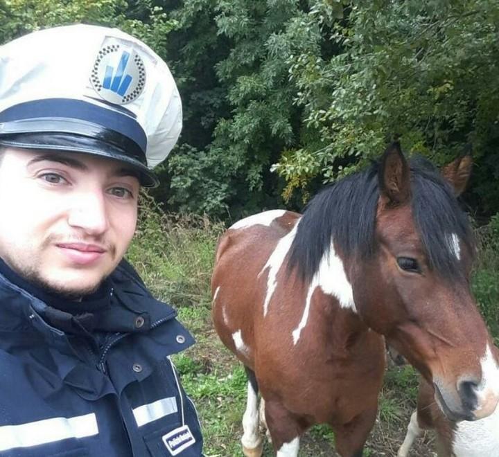 Erano a Pian del Falco i pony in libera uscita