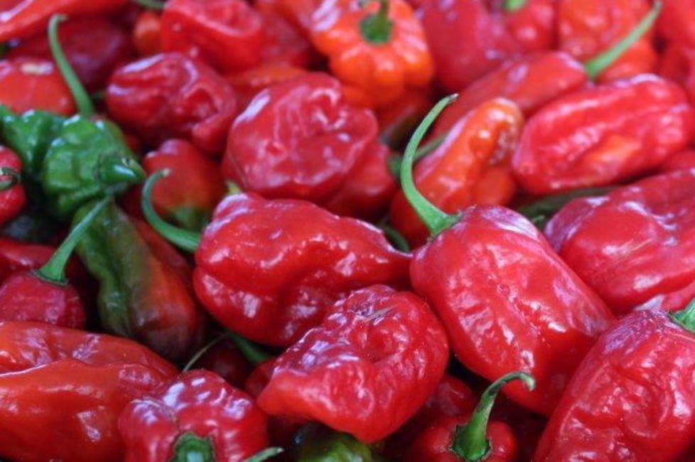 Il peperoncino in fiesta
