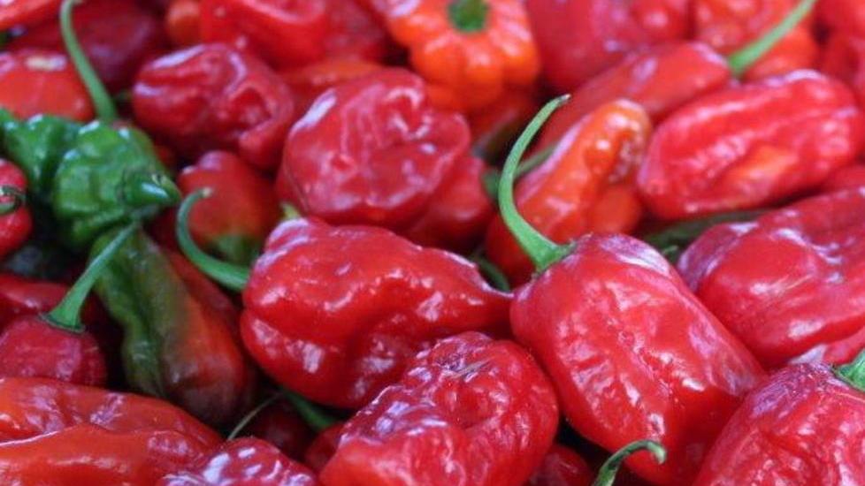 Il peperoncino in fiesta