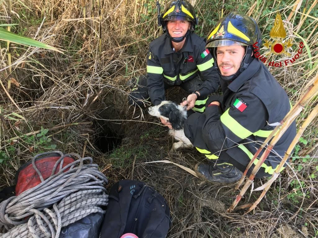 Il cane con i vigili del fuoco che lo hanno salvato