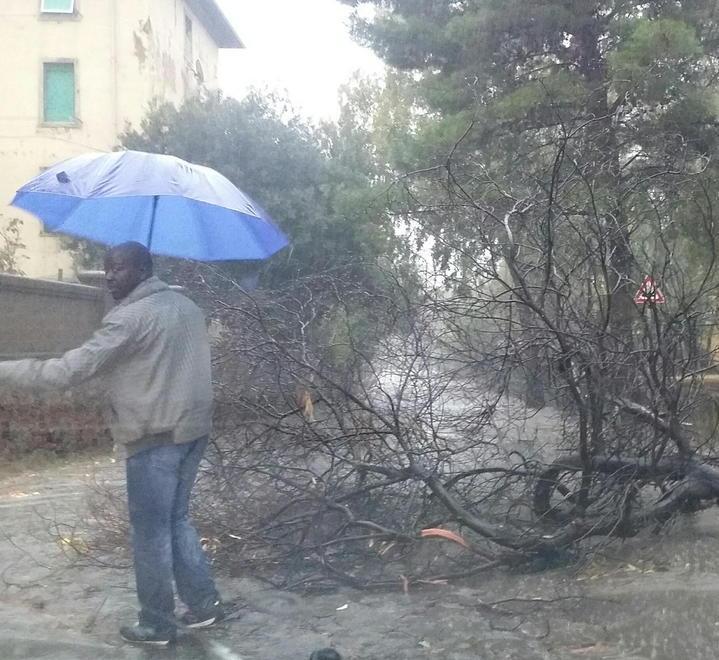 Nubifragio: strade allagate e alberi caduti 