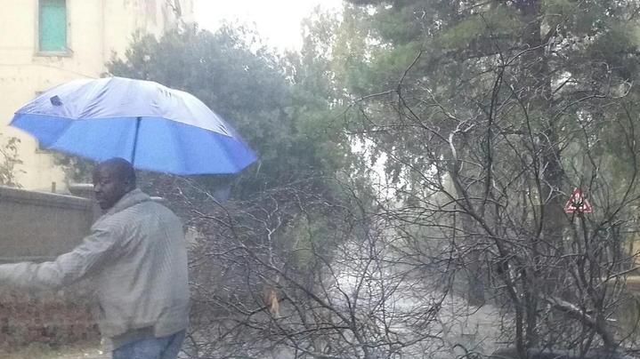 Nubifragio: strade allagate e alberi caduti