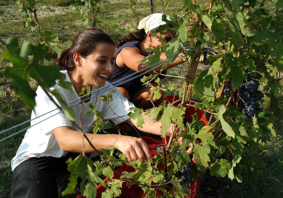 Boom nella Piana delle attività agricole guidate da giovani 