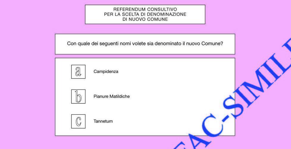 Fusione, le dieci ragioni del Sì e del No 
