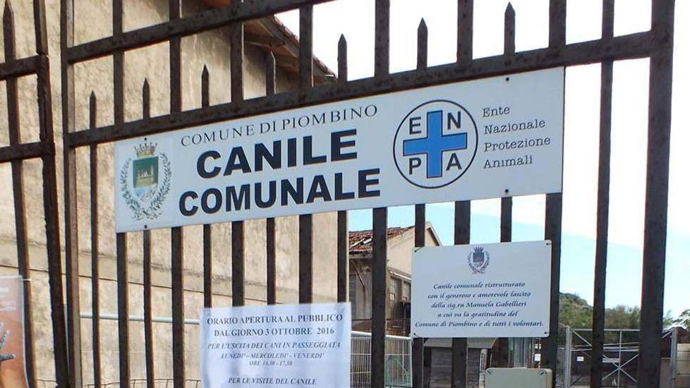«Soldi pubblici sperperati e tanta improvvisazione»