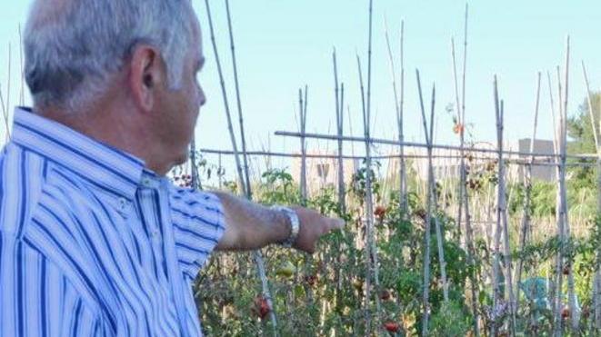 Orti sociali e rincari nelle concessioni Domattina incontro al Genio Civile