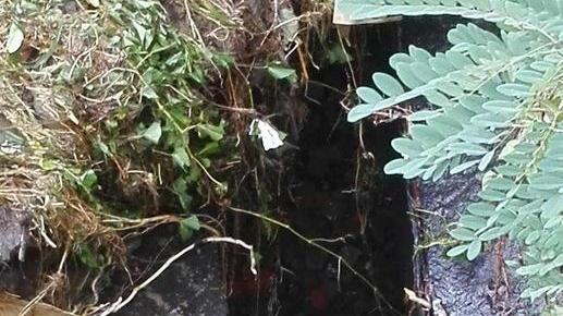 “Buco” nel torrente e i detriti finiscono nel condotto pubblico