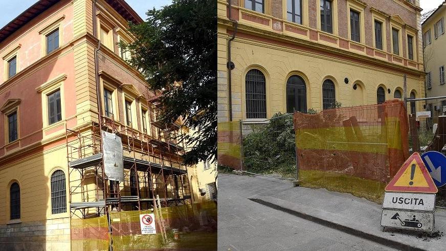 L'acacia di palazzo Mensini: ieri rigogliosa, oggi tagliata di netto (foto Agenzia Bf)