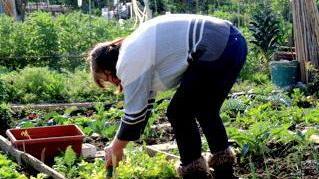 Esenzioni e agevolazioni per gli orti sociali