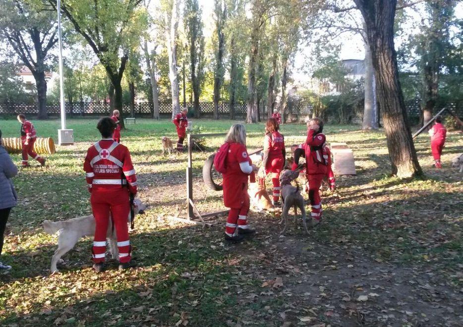 Nell’area sgambamento cani spazio all’addestramento Cri