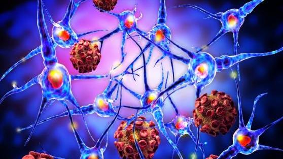 Allarme meningite, anziana ricoverata al Noa
