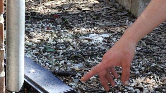 Guerra ai topi, posizionate 172 scatoline