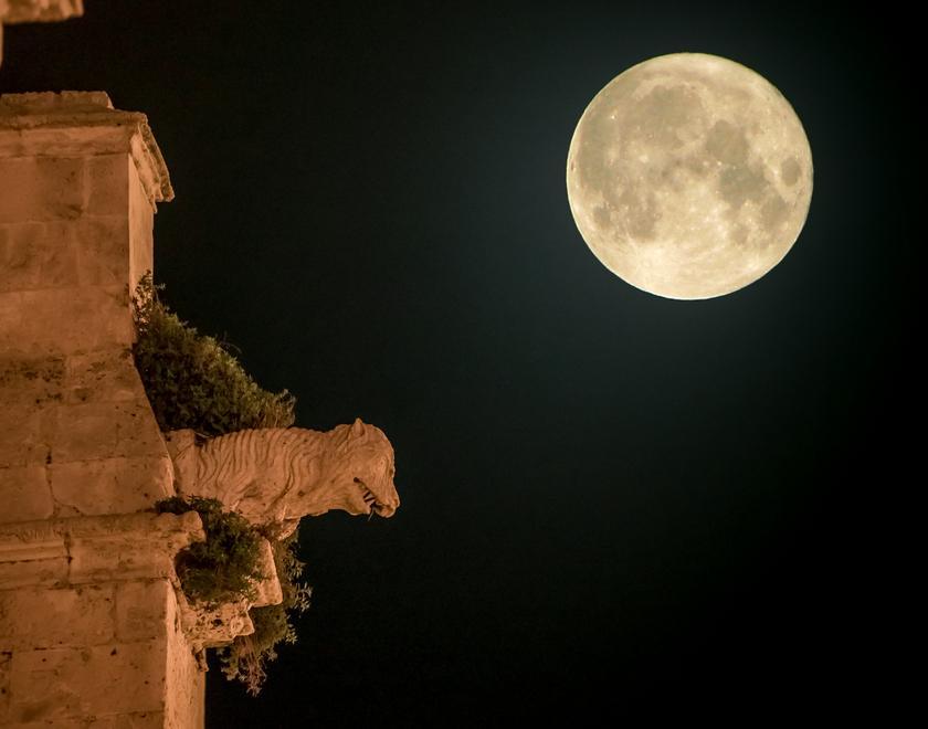 Itinerari in salsa noir nella vecchia Sassari 