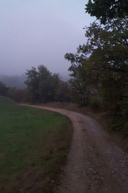 Va fuori strada con la jeep I parenti lo trovano ferito 