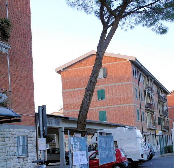 Nel piano originario strade, piazze ed impianti sportivi