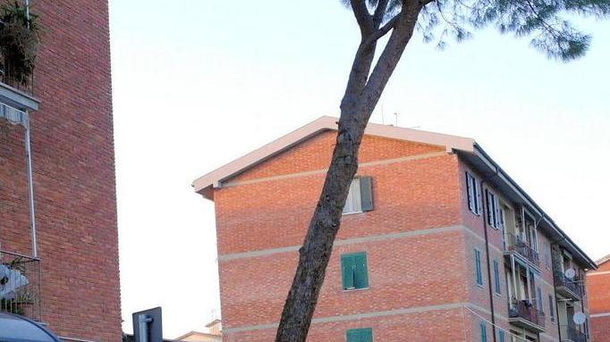 Nel piano originario strade, piazze ed impianti sportivi