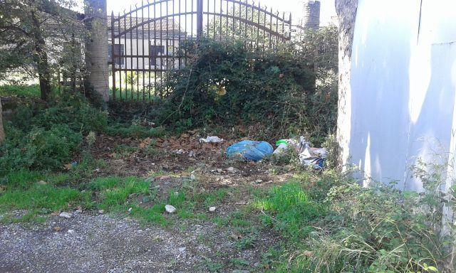 L'area vicino al cimitero dopo l'operazione di pulizia
