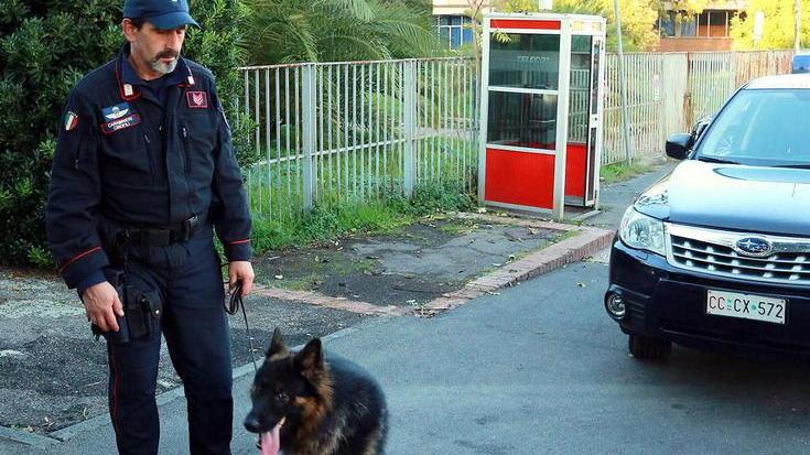 Blitz anti-spaccio anche nei bar
