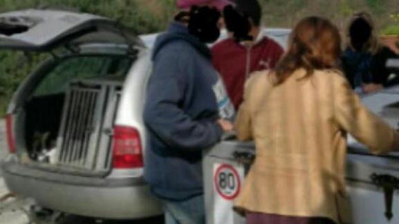 Cani dalla Repubblica Ceca Multe per 6.000 euro