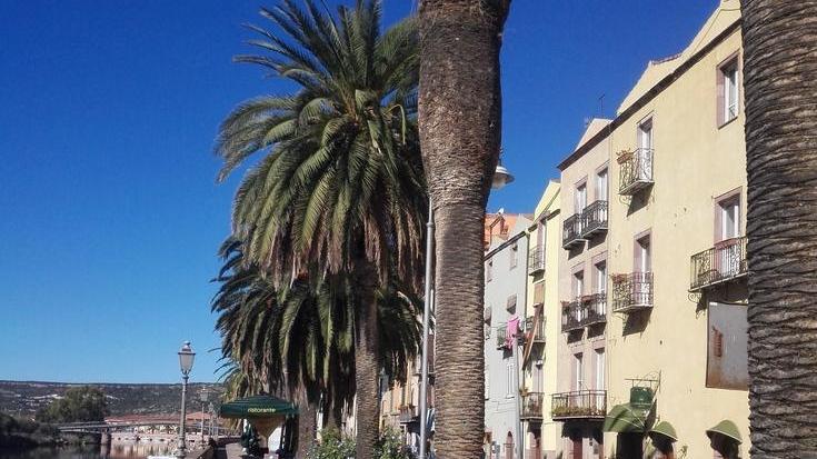 Le palme del Lungotemo all’esame della Regione