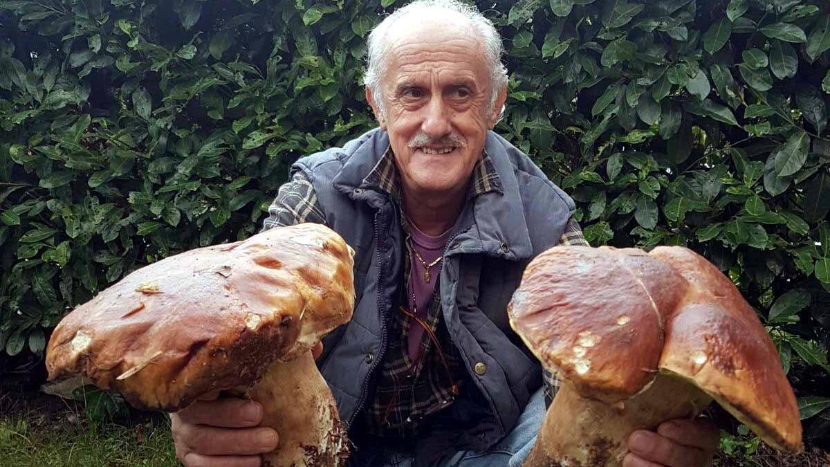 Alessandro Zani mostra due dei funghi che ha trovato
