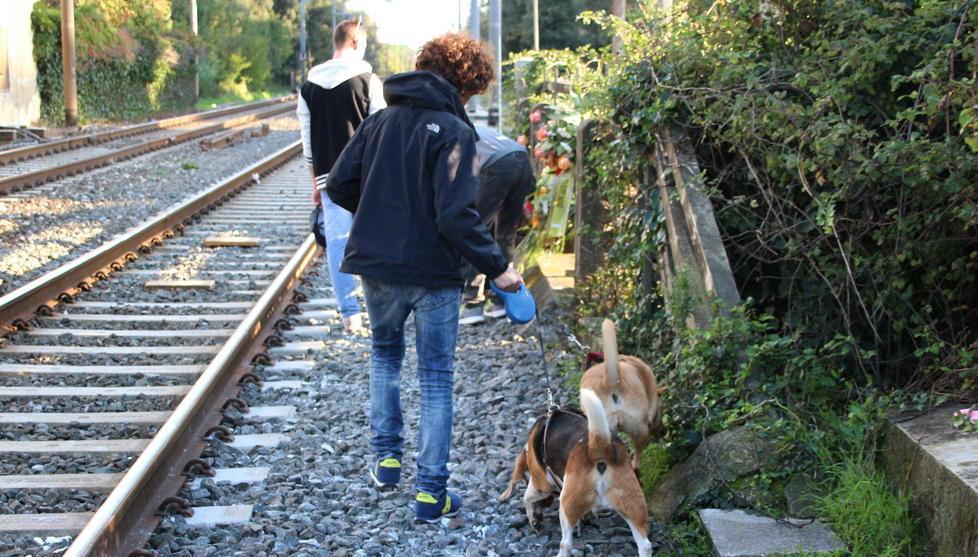 Tragedia sui binari. La madre di Mattia: «Chiudete quel passaggio» 
