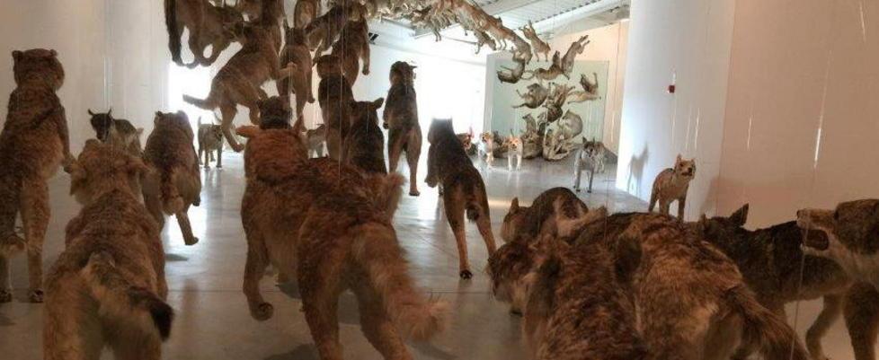 I lupi e i muri di Cai Guo Qiang 