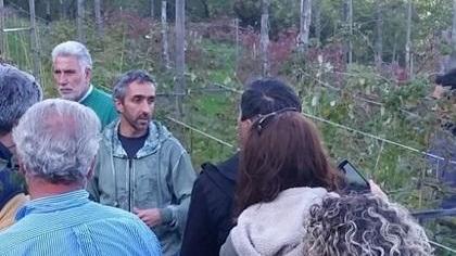 Lezioni sui frutti di bosco pistoiesi