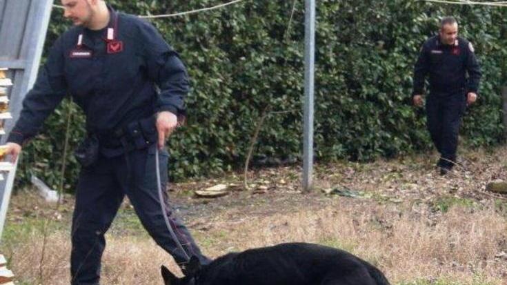 Nuovo blitz dei carabinieri spacciatori in fuga nel bosco