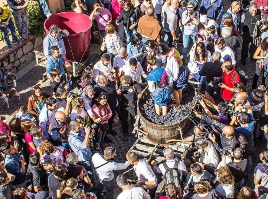 Vino in mostra e premiazioni del concorso 