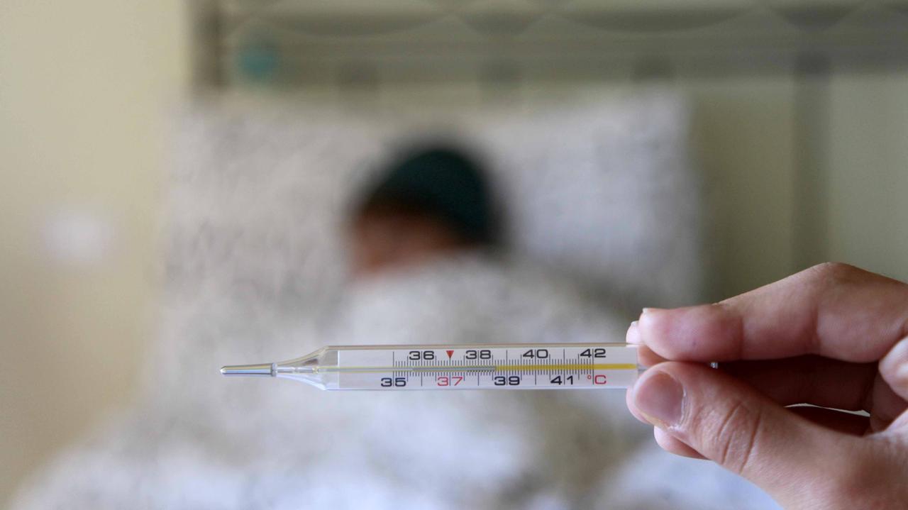 I primi casi di influenza sono attesi per la fine dell'anno