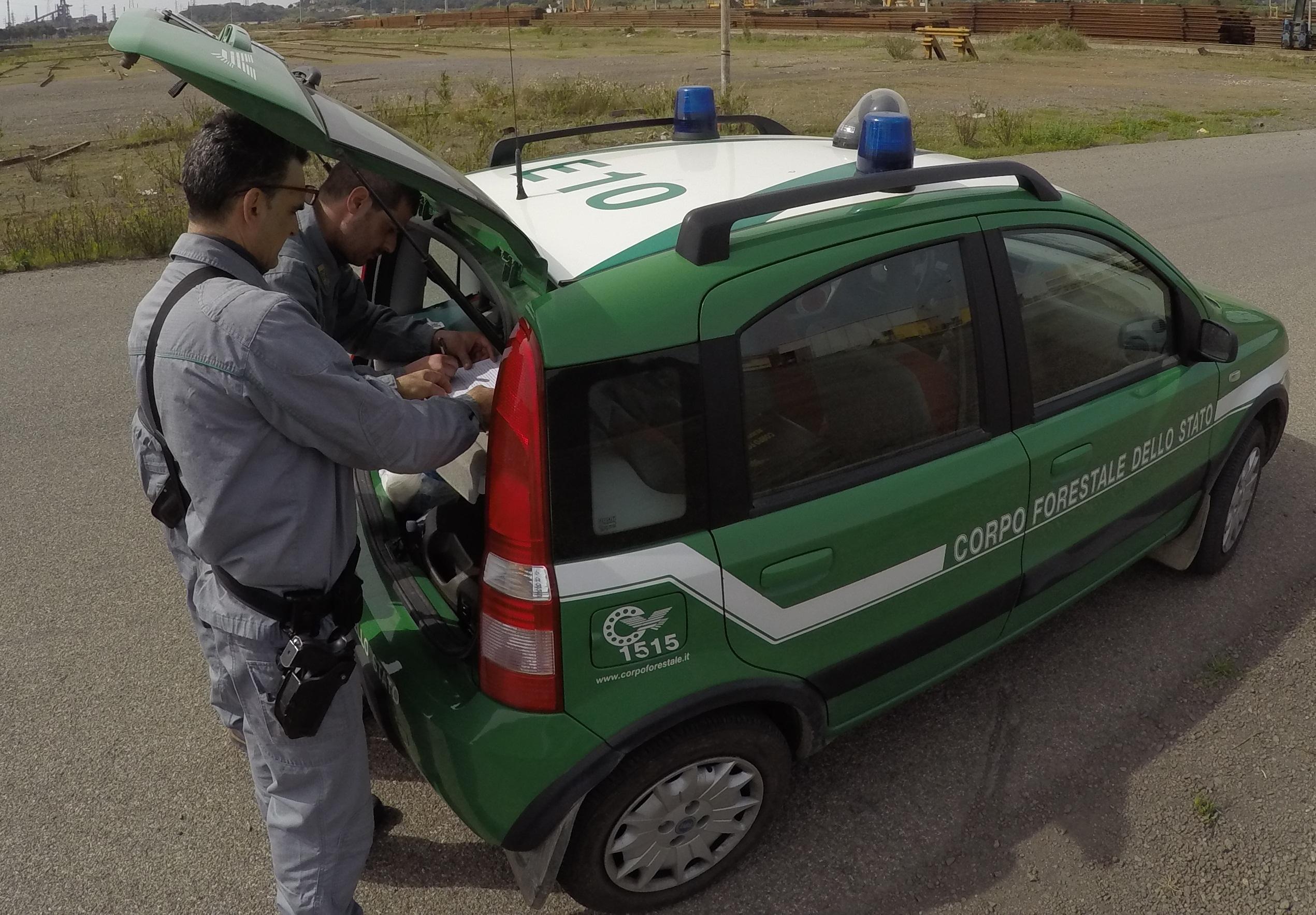 Un controllo della Forestale 