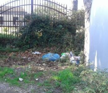 Tolta la sporcizia accanto al cimitero 