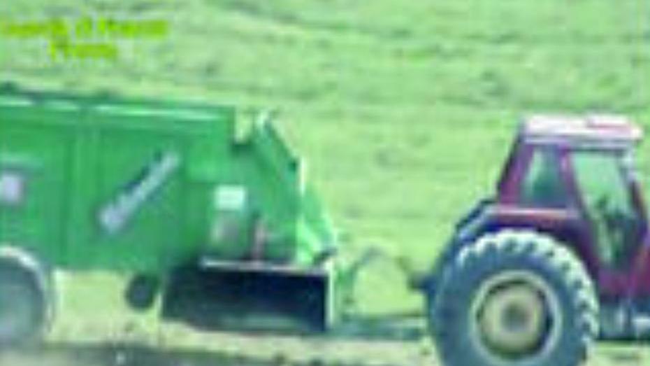 Nel pulper la presenza di idrocarburi