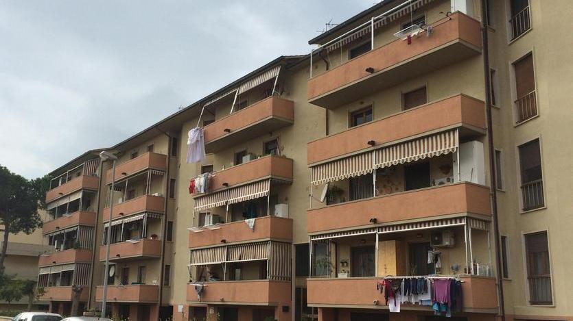 Tovani e i 5 Stelle contro Lippi