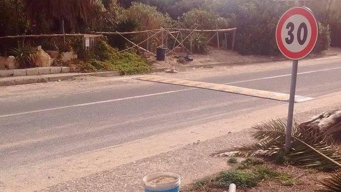 Cartelli stradali a difesa dei gatti della colonia