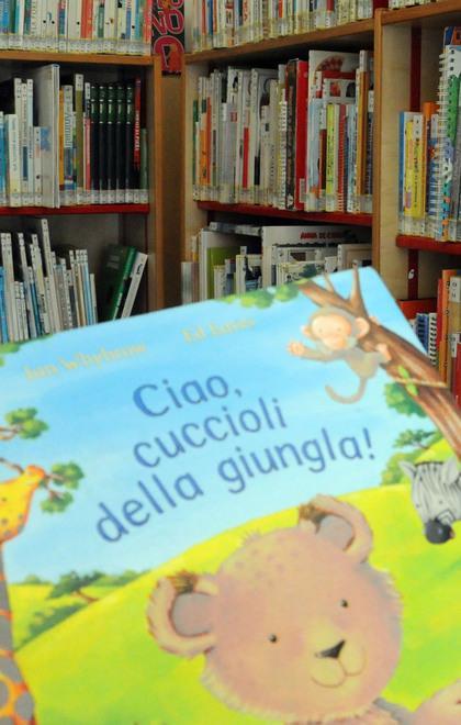 «Presto un Consiglio straordinario sulla Satta» 